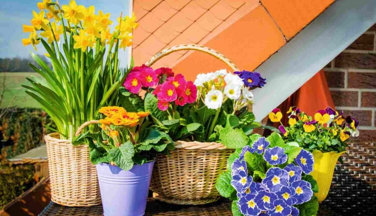 WIOSENNA aranżacja mieszkania i balkonu