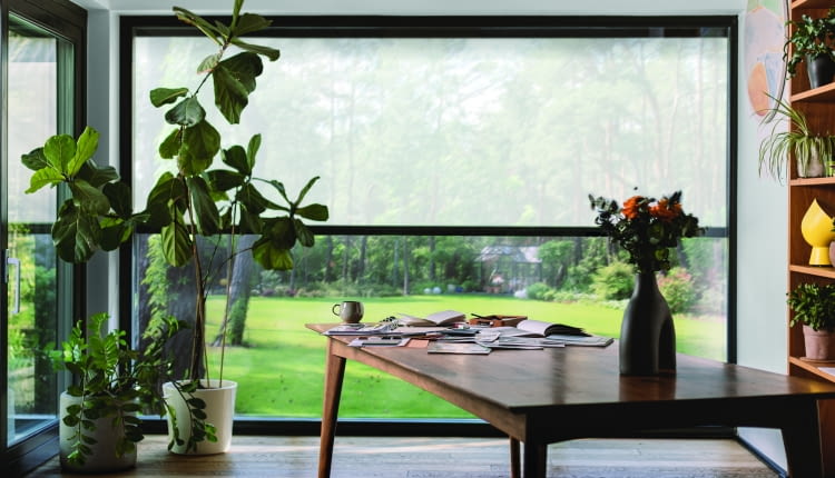 Jak poradzić sobie z upałem?