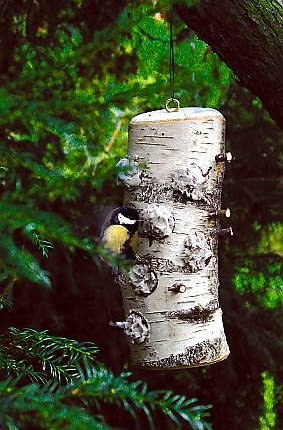 12.10.03 WARSZAWA PARK SKARYSZEWSKI PADEREWSKIEGO JESIEN POMYSLY DO PISMA KWIETNIK POMYSL I WYKONANIE PIOTR SYGA ZWIERZETA PTAKI DOKARMIANIE KARMNIK FOT. PAWEL SLOMCZYNSKI AGENCJA GAZETA