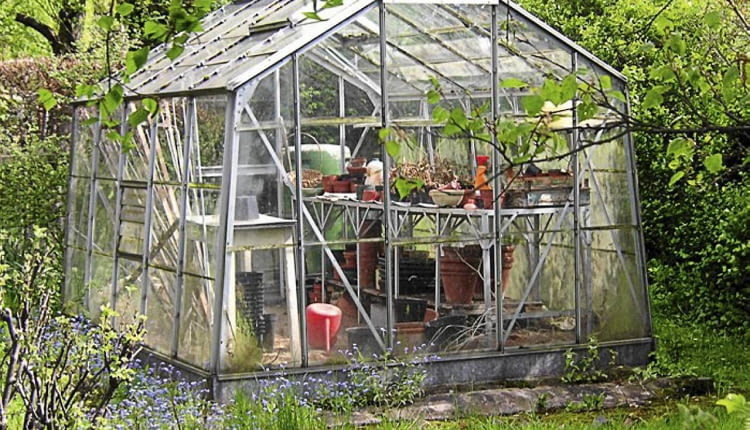 Budowa małej szklarni w ogrodzie wymaga zgłoszenia, ale lepiej skonsultować to z inspektorem wydziału architektury