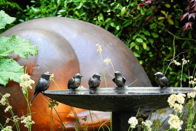 Na metalowej misie z wodą zastygły wszędobylskie wróble.