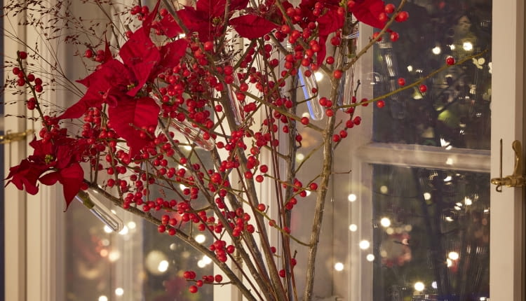 Bukiet poinsecji pełen blasku