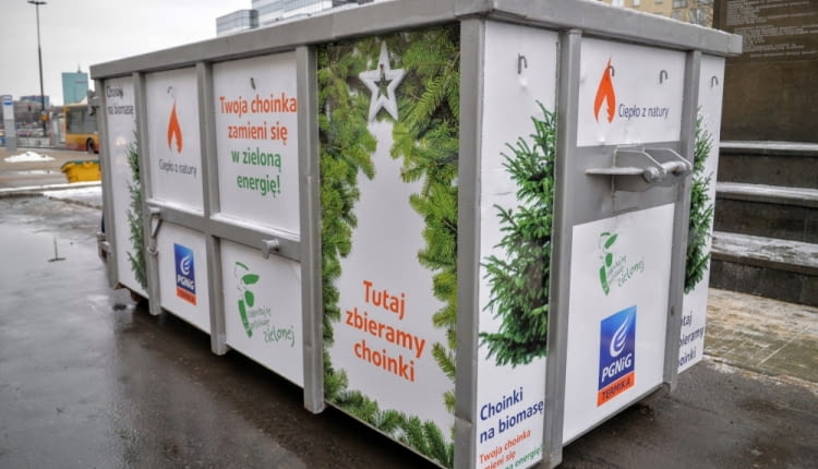 Zbiór choinek na energie