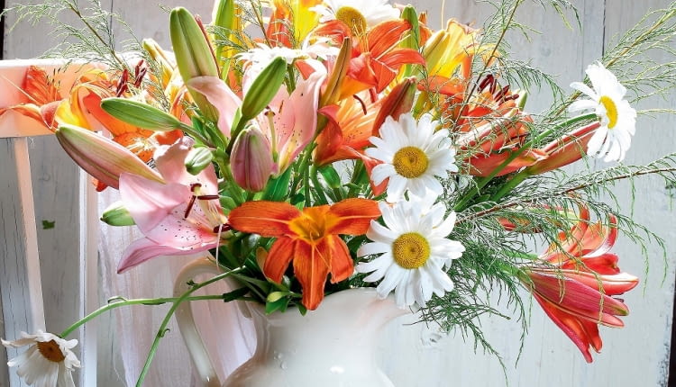 ~]l^6%ntGSWe5csrleBHx7M]TfYn>=/m_XcKv^eIek&fK=_we