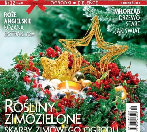 Ogrody - numer grudniowy