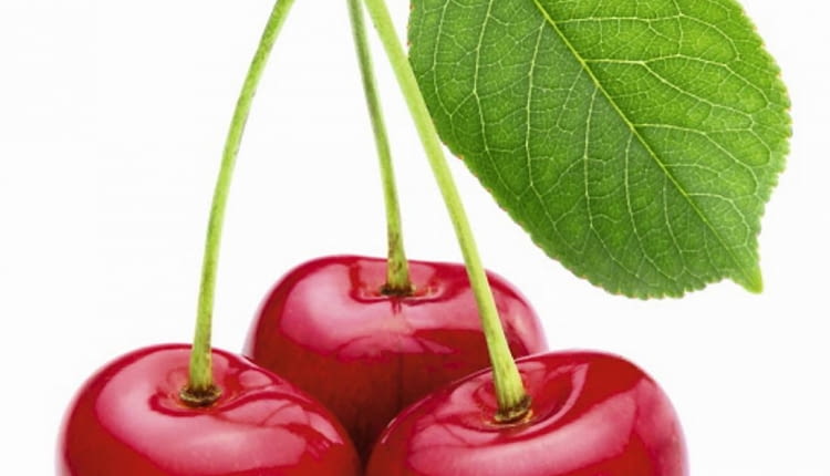 Najprostszym sposobem na odstraszenie ptaków od czereśni są szklane butelki lub metalowe puszki zawieszone w koronie drzewa, tak aby obijały się o siebie hałasując.