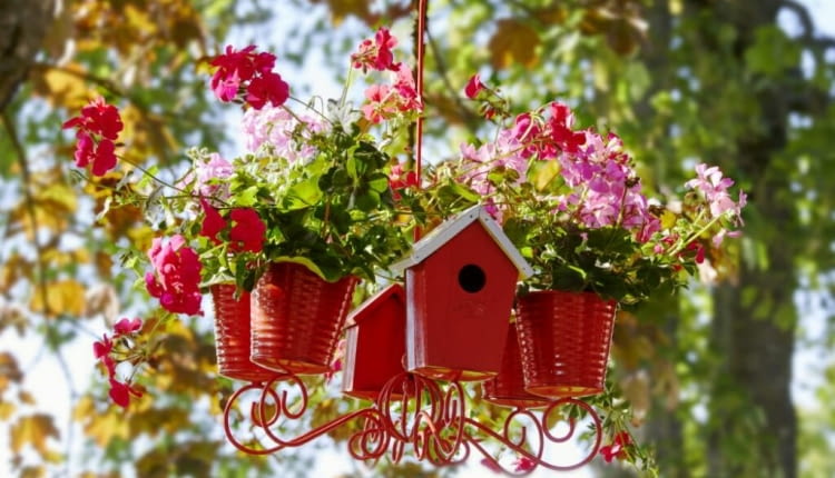 Pelargoniowy żyrandol z domkiem dla ptaków i owadów
