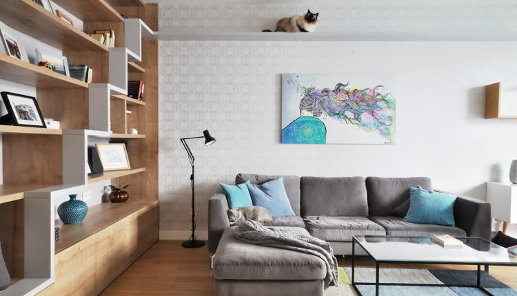 projekt wnętrz aranżacja wnętrz wnętrza architekt wnętrz czworonogi koty psy