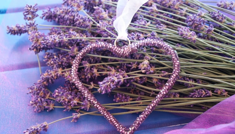 Dobroczynne właściwości lawendy.
