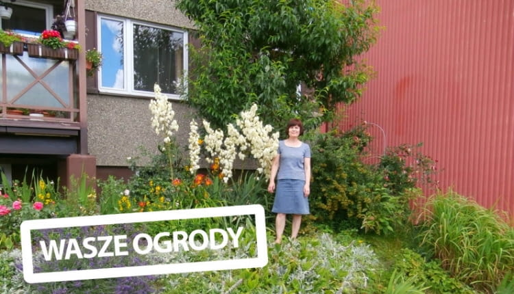 Ogród przy balkonie