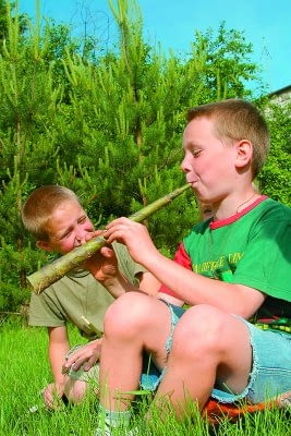 Koncert na trąbę z... kory