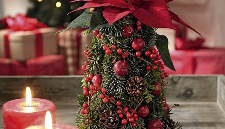 Gwiazda betlejemska. Stroiki bożonarodzeniowe. Choinka z pędów różnych iglaków ułożonych w gąbce bukieciarskiej w kształcie ściętego stożka. Pęd czerwonej gwiazdy wbito w jego wierzchołek