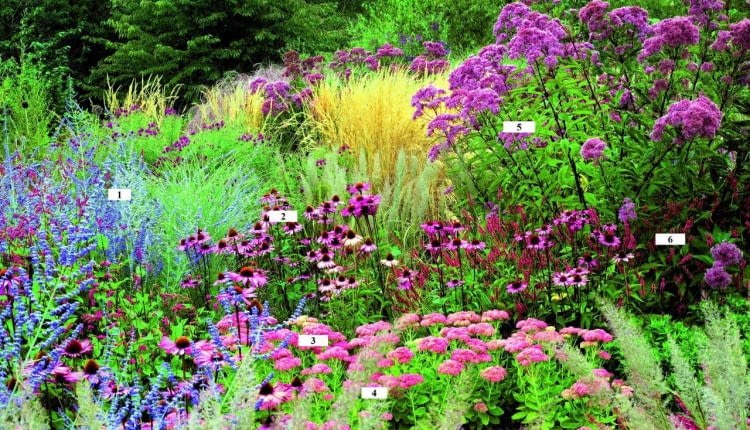 *** Local Caption *** 00119148