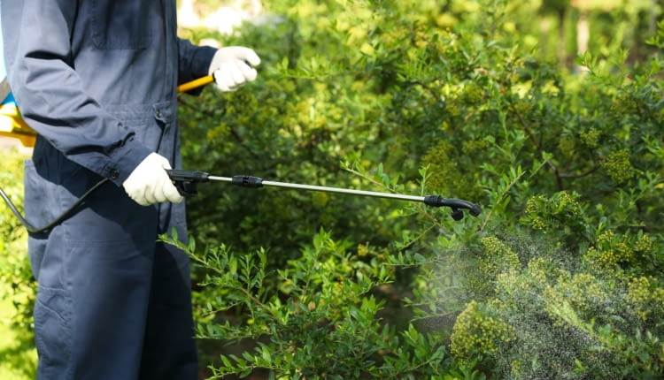 Opryskiwacz do ochrony roślin