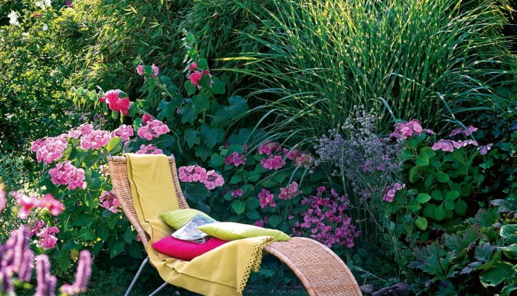 Fargesia murieliae (Schirmbambus) Miscanthus Zebrinus Strictus (Stachelschweingras) Hydrangea (Hortensie), Alcea (Stockrose) Eryngium (Edeldistel), Korbliege