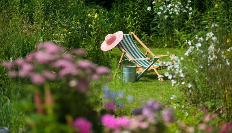 Działkowy slow life