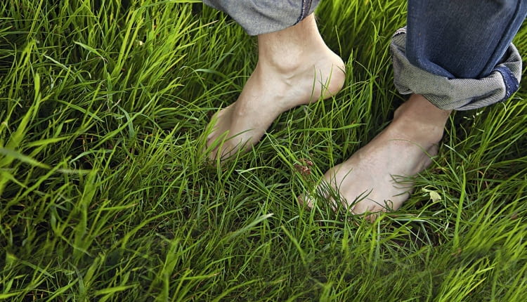 Jeśli bardzo lubimy spacery boso po trawie, wybierajmy godziny popołudniowe, kiedy kleszcze są najmniej aktywne.