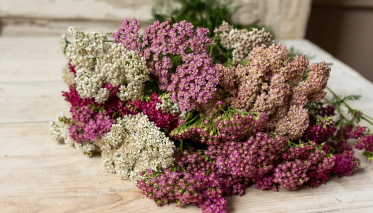 Bukiety z własnego ogrodu