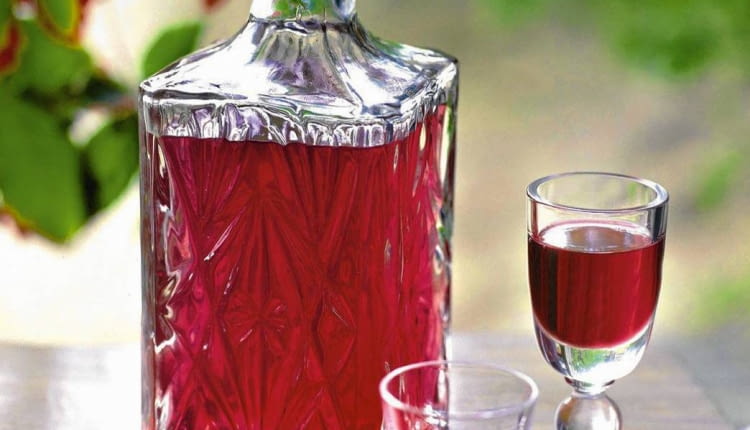 KUCHNIA REGJONALNA POJEZIERZA KASZUBSKIEGO , WIES OLPUCH NAD JEZIOREM WDZYDZKIM ; NALEWKA ZURAWINOWA STYLIZACJA ANNA TYSLEROWICZ FOT. RAFAL LIPSKI PUBLIKACJA KUCHNIA NR 9 (139) - 9.2006 SLOWA KLUCZOWE: ALKOHOL