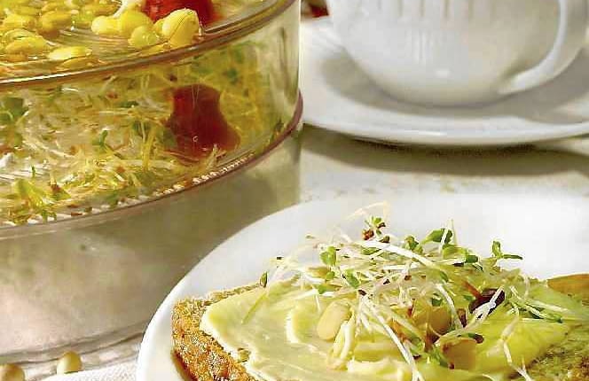 KIELKI FOT. BARBARA LACZYNSKA PUBLIKACJA OGRODY NR 2 (82) - 2.2006 SLOWA KLUCZOWE: ZYWNOSC ZDJĘCIE DO WKŁADKI: PUBLIKACJA OGRODY NR 2 (82) - CZASOPISMA