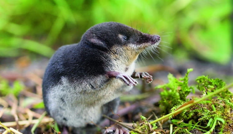 p?U30CtjCQ)kNVn5Y`7PB