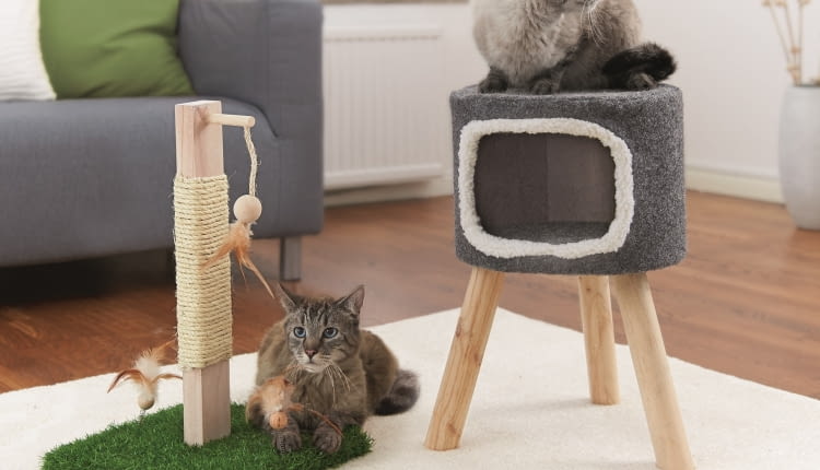 KiK_koci_taboret_35_x_52_cm_cena_129,99_drapak_dla_lota_20_x_12_cm_cena_69,99