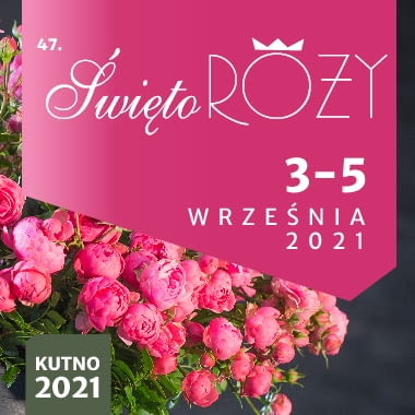 Święto Róży