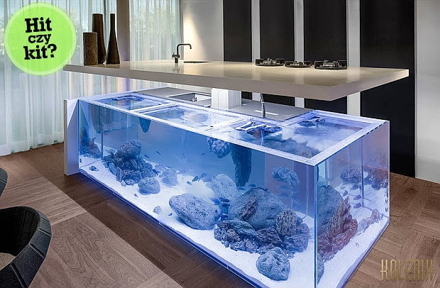 akwarium, kuchnia, kuchnia z akwarium, robert kolenik