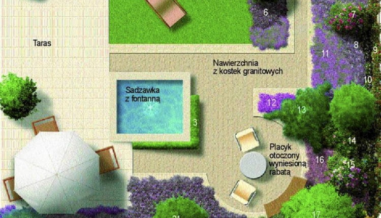 Śródziemnomorskie patio - plan nasadzeń 1 JAŁOWIEC POSPOLITY 'ARNOLD' 2 LAWENDA WĄSKOLISTNA 3 FORMOWANY BUKSZPAN WIECZNIEZIELONY 4 CYPRYSIK LAWSONA 'ALUMNII' 5 POWOJNIK 'POLISH SPIRIT' 6 TAWUŁA JAPOŃSKA 'ANTHONY WATERER' 7 BUDLEJA DAWIDA 8 RÓŻANECZNIK 9 MILIN AMERYKAŃSKI 10 POWOJNIK ALPEJSKI 'WILLY' 11 SZAŁWIA OMSZONA 12 MACIERZANKA PIASKOWA 13 JAŁOWIEC PŁOŻĄCY 'WILTONII' 14 HORTENSJA OGRODOWA 15 RÓŻANECZNIK GĘSTY 16 ASTER KRZACZASTY 17 WIŚNIA PIŁKOWANA 'KANZAN' 18 IRGA DAMMERA 'EICHHOLZ' 19 TAWUŁA JAPOŃSKA 'LITTLE PRINCESS' 20 BLUSZCZ POSPOLITY 21 CIS POSPOLITY 'FASTIGIATA' 22 TRZMIELINA FORTUNE'A 'EMERALD'N GAIETY' 23 JAŁOWIEC 'BLUE ARROW'