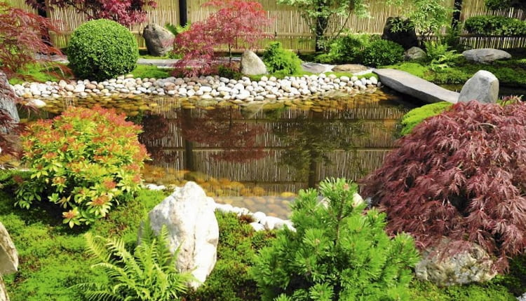 W OCZKU JAK W LUSTRZE odbijają się barwne krzewy rosnące w pobliżu i płot z listewek. Brzeg i dno zdobią białe otoczaki.