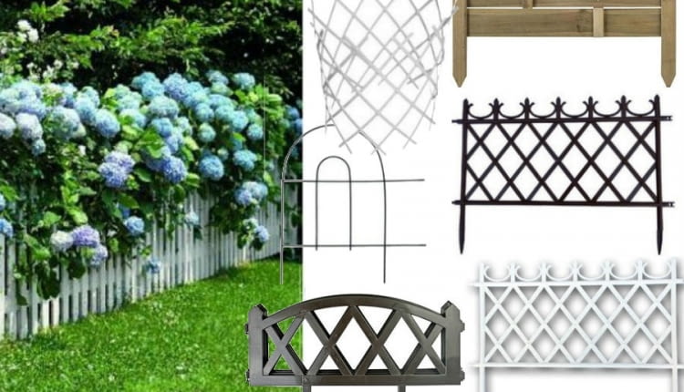 kwiaty, hortensja, płot ogrodowy, ogród