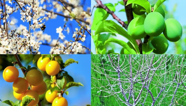 dp]<nYvMYzwU^e)_i]mu:?u:A>g;Q`4C