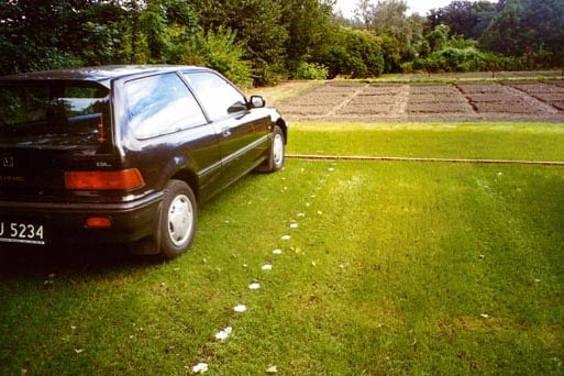 DO JEDONRAZOWEJ PUBLIKACJI