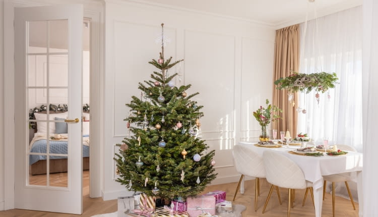 Leory Merlin - Kraina Lodu