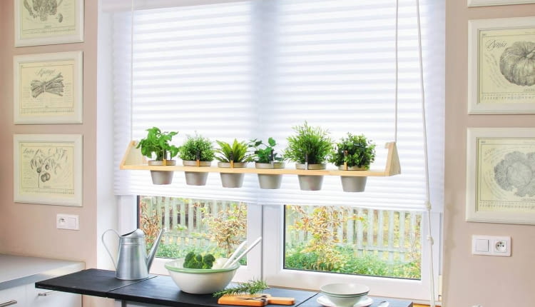 W opuszczanym na linie kwietniku można uprawiać zarówno zioła do potraw, jak i kwiaty doniczkowe. Taki miniogródek nie zajmuje miejsca na kuchennym parapecie, a do roślin jest łatwy dostęp.