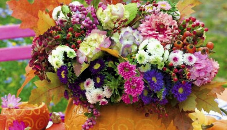 Geschnitzter Kürbis als Blumenvase: Astern, Dahlien, Blätter und Beeren SLOWA KLUCZOWE: Herbst Kürbisse Herbststräuße Herbstliche Tischideen und Accessoires Herbst Kürbisse Herbststräuße Herbstliche Tischideen und Accessoires herbstlich Herbstdekoration Herbstdeko Dekoration Deko Decoration Deco Gastlichkeit Herbsttisch Herbsttische Tisch Tische Tischdekoration Tafelschmuck Tischschmuck Tischdeco Tischdeko Kürbis Blumenstrauß Blumensträuße Herbststrauß Blume Blumen floral Florales Blumenvase Blumenvasen Vase Vasen Aster Astern Dahlie Dahlien Dahlia Blatt Blätter Beere Beeren Gravur graviert Außenaufnahme