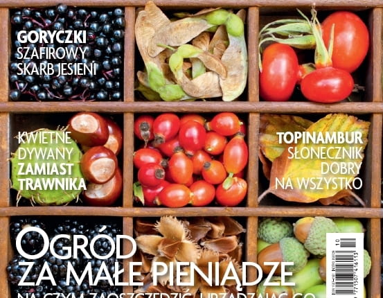 okładka miesięcznika Ogrody 10/2011