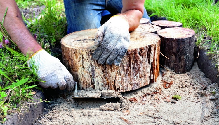 Fot. brizmaker shutterstock