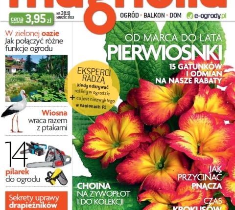 Okładka miesięcznika Magnolia 03/2013