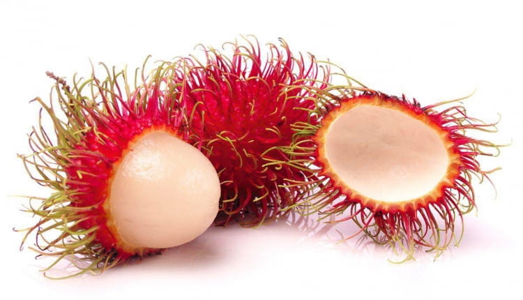 Rambutan