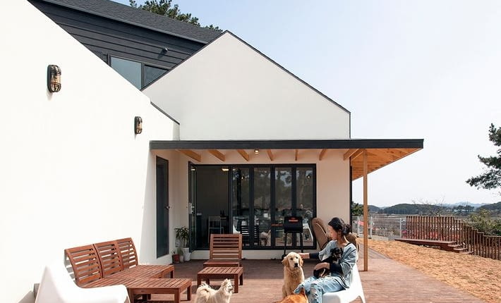 dom, nowoczesny dom, pensjonat, rezydencja dla psów