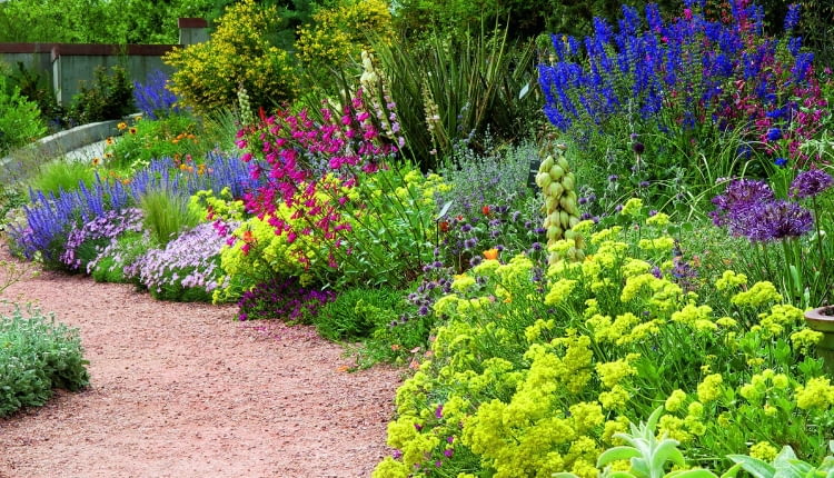 0EF46RH Denver Botanic Gardens Water-Smart Garden