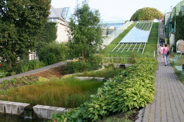 Dach Biblioteki Uniwersytetu Warszawskiego