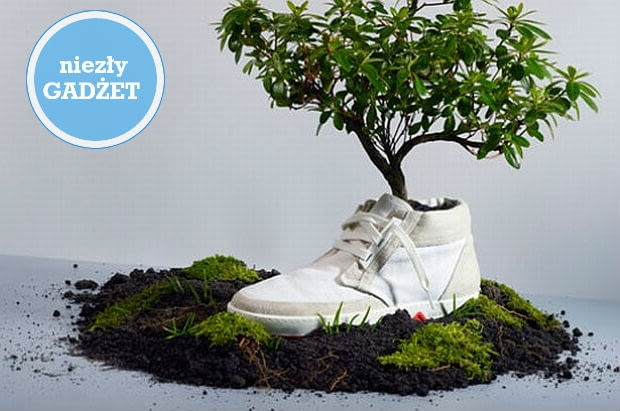 OAT, buty, biodegradowalne buty