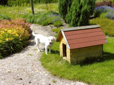 Buda ze zdejmowanym dachem, który ułatwia sprzątanie.