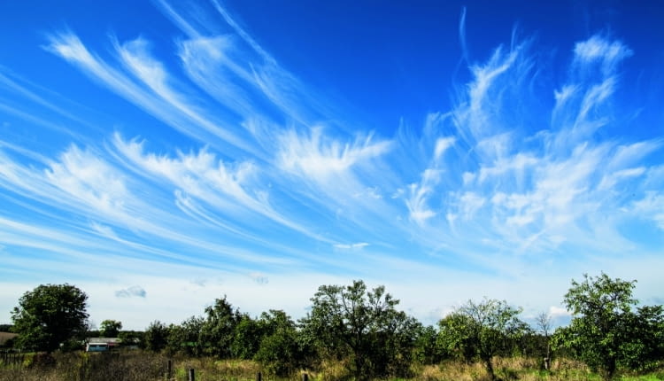 Chmury wysokie, zwłaszcza cirrusy i cirrostratusy, zagęszczające się na zachodniej stronie nieba zwiastują pogorszenie się pogody.