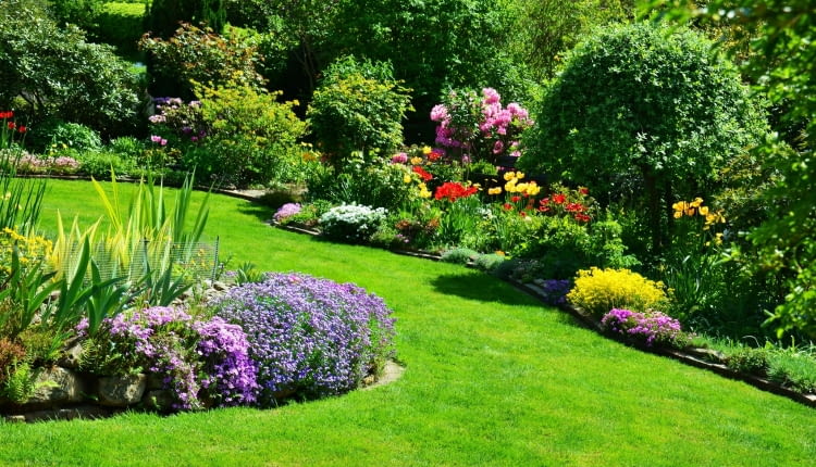 Zaplanuj swój ogród