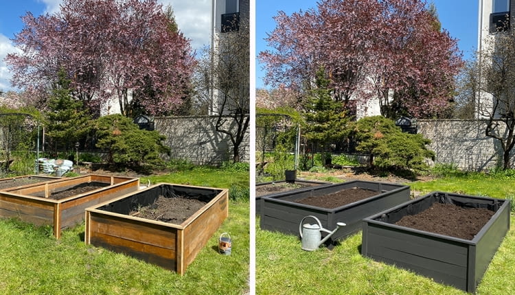 Warzywniak w skrzyniach