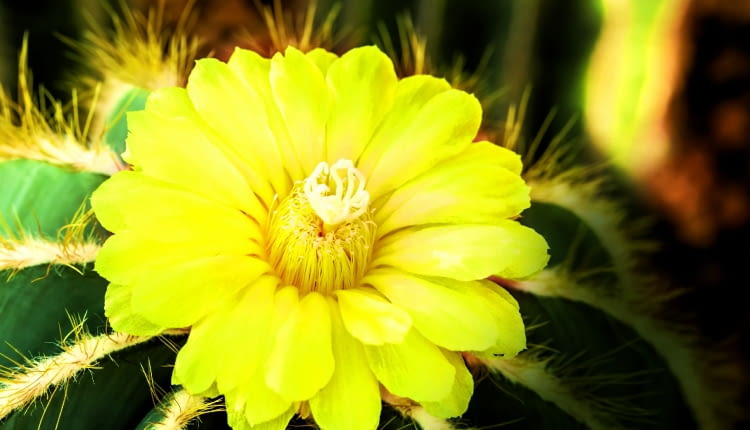 lightofchairat shutterstock