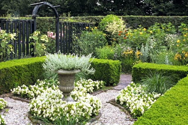 Small garden with Buxus hedges